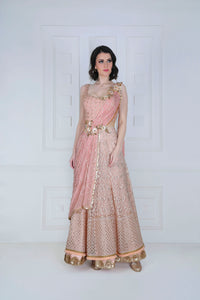 Cross-Drape Saree Gown with Chikankari Embroidery - Saaj By Ankita