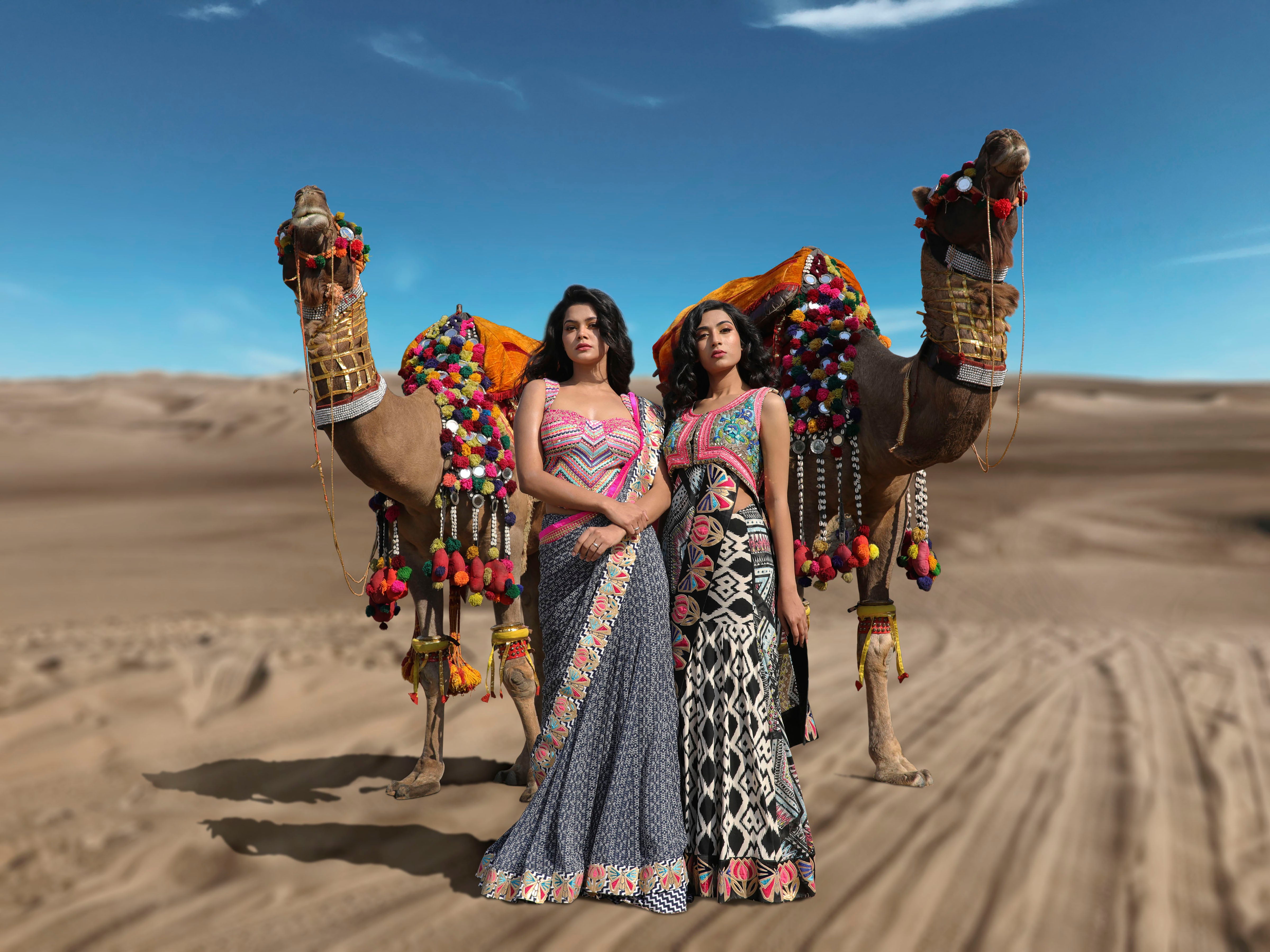Butterfly Border Kalidaar Saree in Indigo Boho Print - Saaj By Ankita